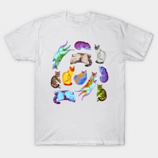 Different colored exotic domestic cats T-Shirt